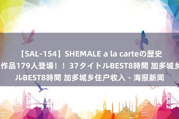 【SAL-154】SHEMALE a la carteの歴史 2 2011～2013 国内作品179人登場！！37タイトルBEST8時間 加多城乡住户收入 - 海报新闻