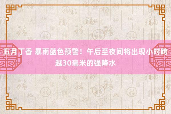 五月丁香 暴雨蓝色预警！午后至夜间将出现小时跨越30毫米的强降水