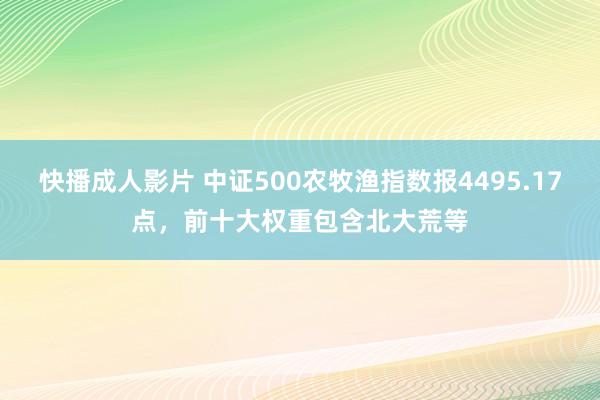 快播成人影片 中证500农牧渔指数报4495.17点，前十大权重包含北大荒等