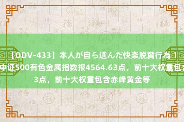 【ODV-433】本人が自ら選んだ快楽脱糞行為 1 神崎まゆみ 中证500有色金属指数报4564.63点，前十大权重包含赤峰黄金等