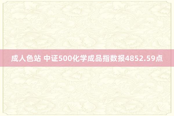 成人色站 中证500化学成品指数报4852.59点