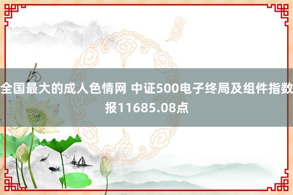 全国最大的成人色情网 中证500电子终局及组件指数报11685.08点