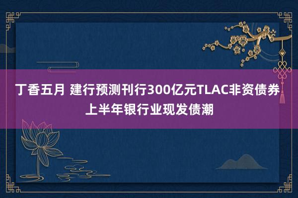 丁香五月 建行预测刊行300亿元TLAC非资债券 上半年银行业现发债潮