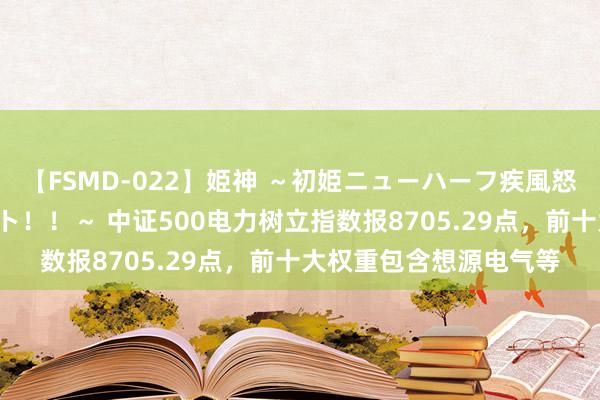 【FSMD-022】姫神 ～初姫ニューハーフ疾風怒濤の初撮り4時間ベスト！！～ 中证500电力树立指数报8705.29点，前十大权重包含想源电气等