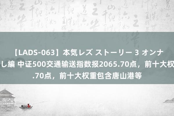 【LADS-063】本気レズ ストーリー 3 オンナだけの秘密の癒し編 中证500交通输送指数报2065.70点，前十大权重包含唐山港等