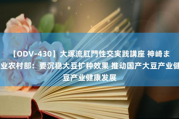 【ODV-430】大塚流肛門性交実践講座 神崎まゆみ 农业农村部：要沉稳大豆扩种效果 推动国产大豆产业健康发展