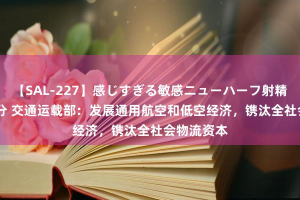 【SAL-227】感じすぎる敏感ニューハーフ射精SEX1124分 交通运载部：发展通用航空和低空经济，镌汰全社会物流资本