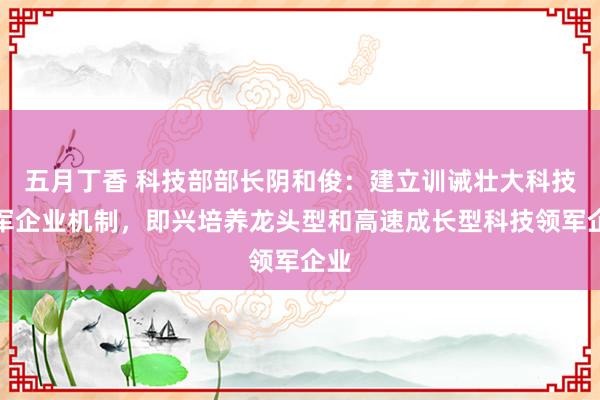 五月丁香 科技部部长阴和俊：建立训诫壮大科技领军企业机制，即兴培养龙头型和高速成长型科技领军企业