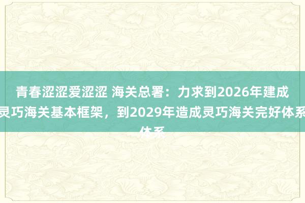 青春涩涩爱涩涩 海关总署：力求到2026年建成灵巧海关基本框架，到2029年造成灵巧海关完好体系