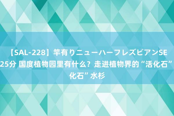 【SAL-228】竿有りニューハーフレズビアンSEX1125分 国度植物园里有什么？走进植物界的“活化石”水杉