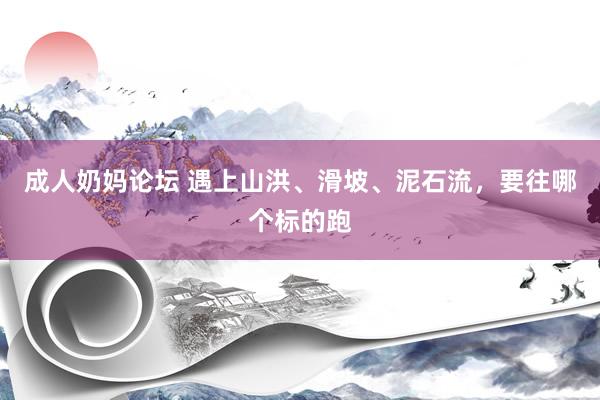 成人奶妈论坛 遇上山洪、滑坡、泥石流，要往哪个标的跑