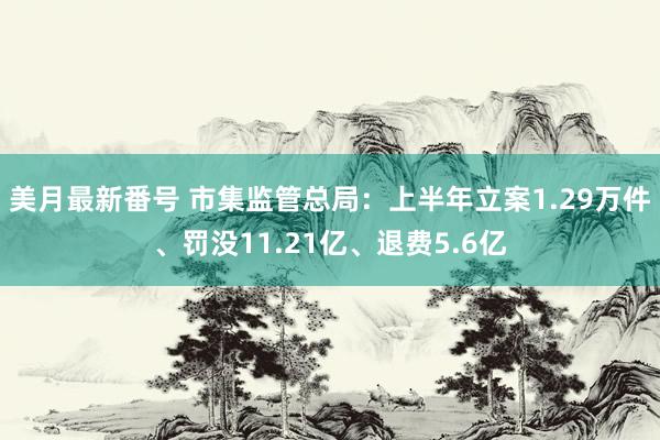 美月最新番号 市集监管总局：上半年立案1.29万件、罚没11.21亿、退费5.6亿