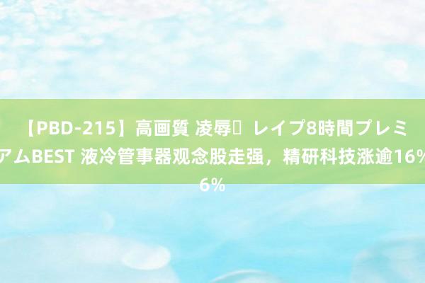 【PBD-215】高画質 凌辱・レイプ8時間プレミアムBEST 液冷管事器观念股走强，精研科技涨逾16%