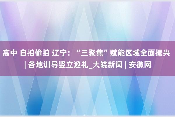 高中 自拍偷拍 辽宁：“三聚焦”赋能区域全面振兴 | 各地训导竖立巡礼_大皖新闻 | 安徽网