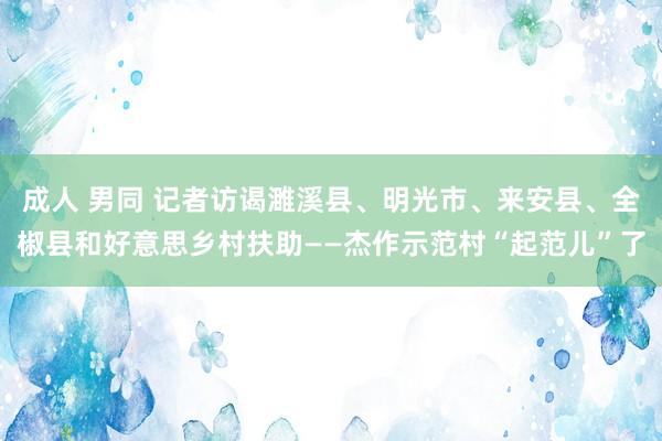 成人 男同 记者访谒濉溪县、明光市、来安县、全椒县和好意思乡村扶助——杰作示范村“起范儿”了