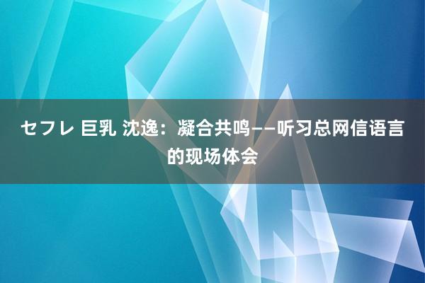 セフレ 巨乳 沈逸：凝合共鸣——听习总网信语言的现场体会