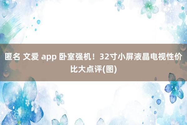 匿名 文爱 app 卧室强机！32寸小屏液晶电视性价比大点评(图)