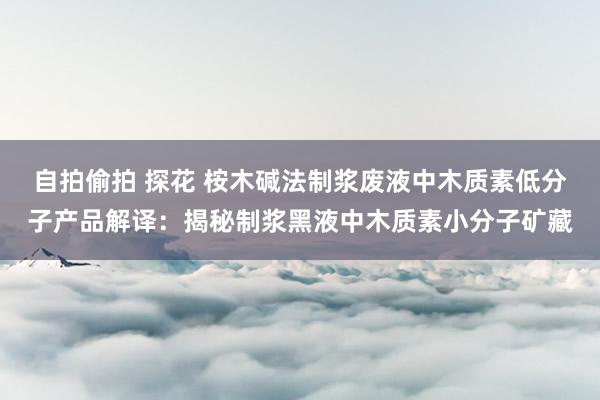 自拍偷拍 探花 桉木碱法制浆废液中木质素低分子产品解译：揭秘制浆黑液中木质素小分子矿藏