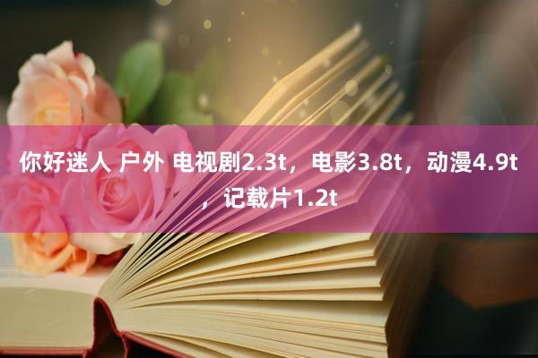 你好迷人 户外 电视剧2.3t，电影3.8t，动漫4.9t，记载片1.2t