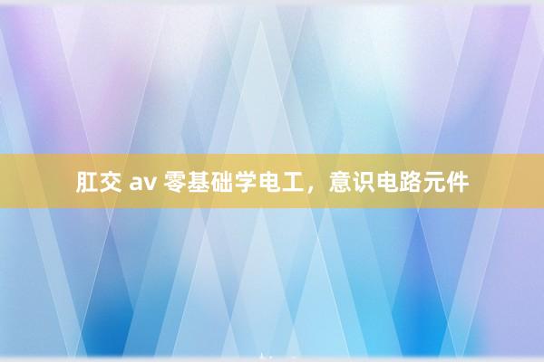 肛交 av 零基础学电工，意识电路元件
